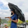 BMW 12 Ribs Auto Open & Close Umbrella - Black