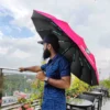 BMW 12 Ribs Auto Open & Close Umbrella - Maroon